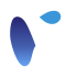 HDS logo